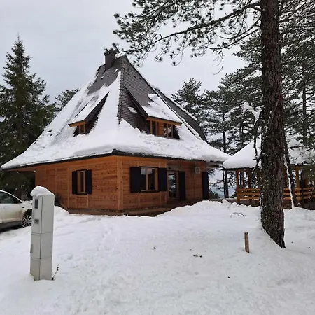 Crni Bor 2 Tara Lodge *