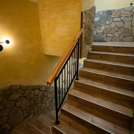 Crni Bor 2 Tara Kaludjerske Bare