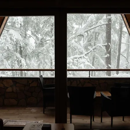 Crni Bor 2 Tara Lodge Kaludjerske Bare