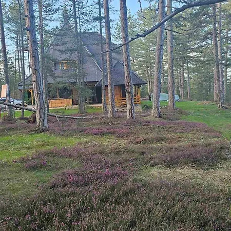 Crni Bor 2 Tara Lodge *