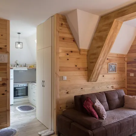 Crni Bor 2 Tara Lodge *