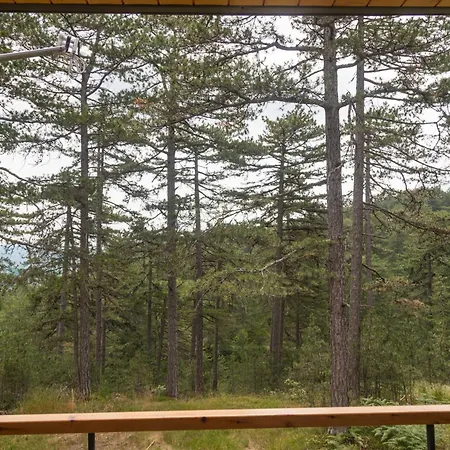 Crni Bor 2 Tara * Kaludjerske Bare