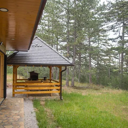 Crni Bor 2 Tara Kaludjerske Bare